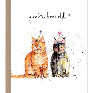 biely & shoaf – Katzen Sie sind wie alt? Geburtstagskarte