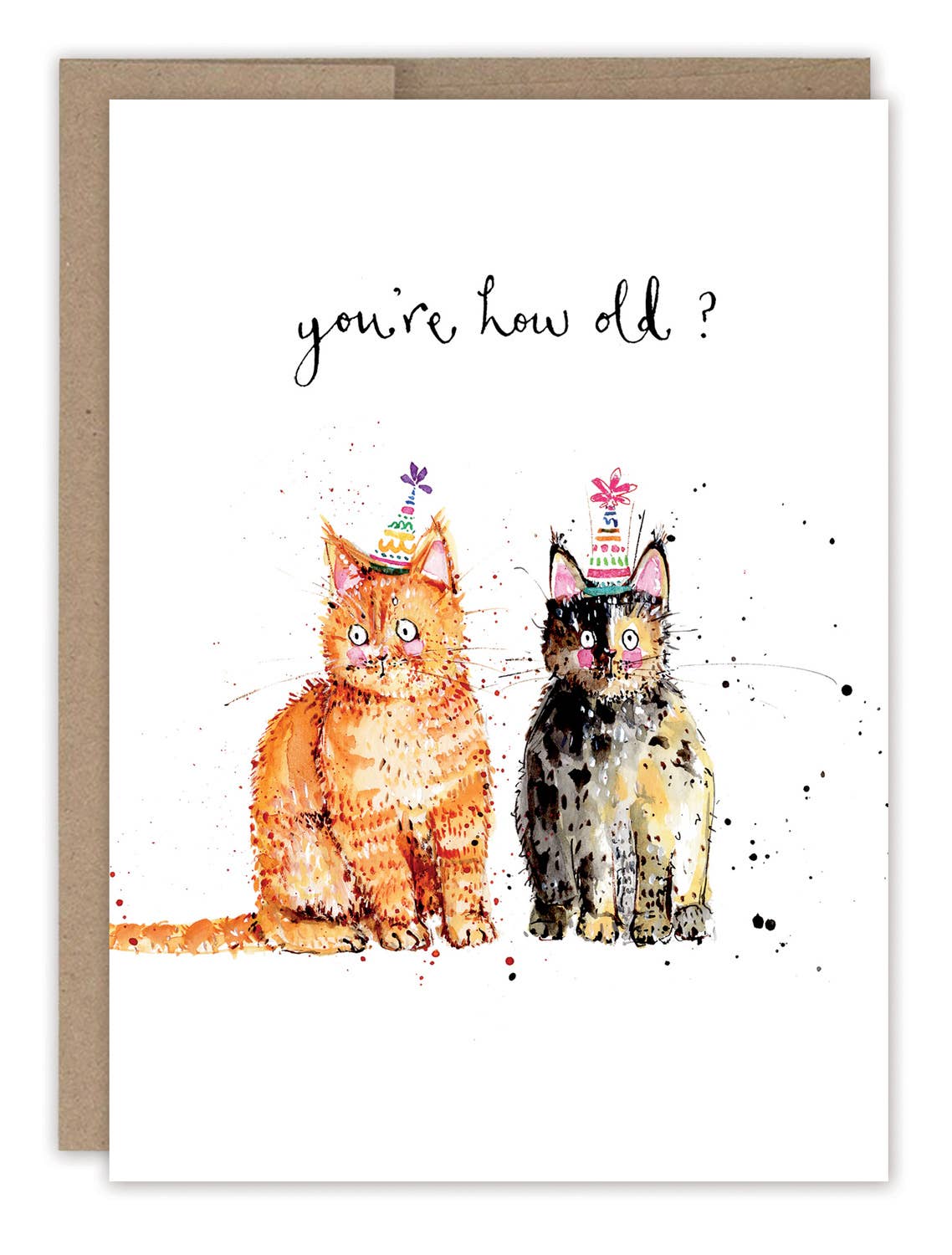 Biely & Shoaf Katzen Du bist wie alt? Geburtstagskarte