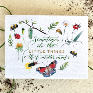 Notes of Eden Seed Cards – The Kleinigkeiten pflanzenbare Wildblumensamen