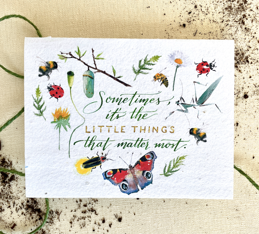 Notizen von Eden Seed Cards – Die kleinen Dinge pflanzbaren Wildblumensamen