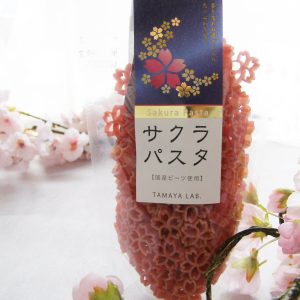 Sakura Nudeln Kirschblüten-Betrachtung bei Yamagata-geborenen Kunst-Nudeln aus Japan / Tamaya seiden