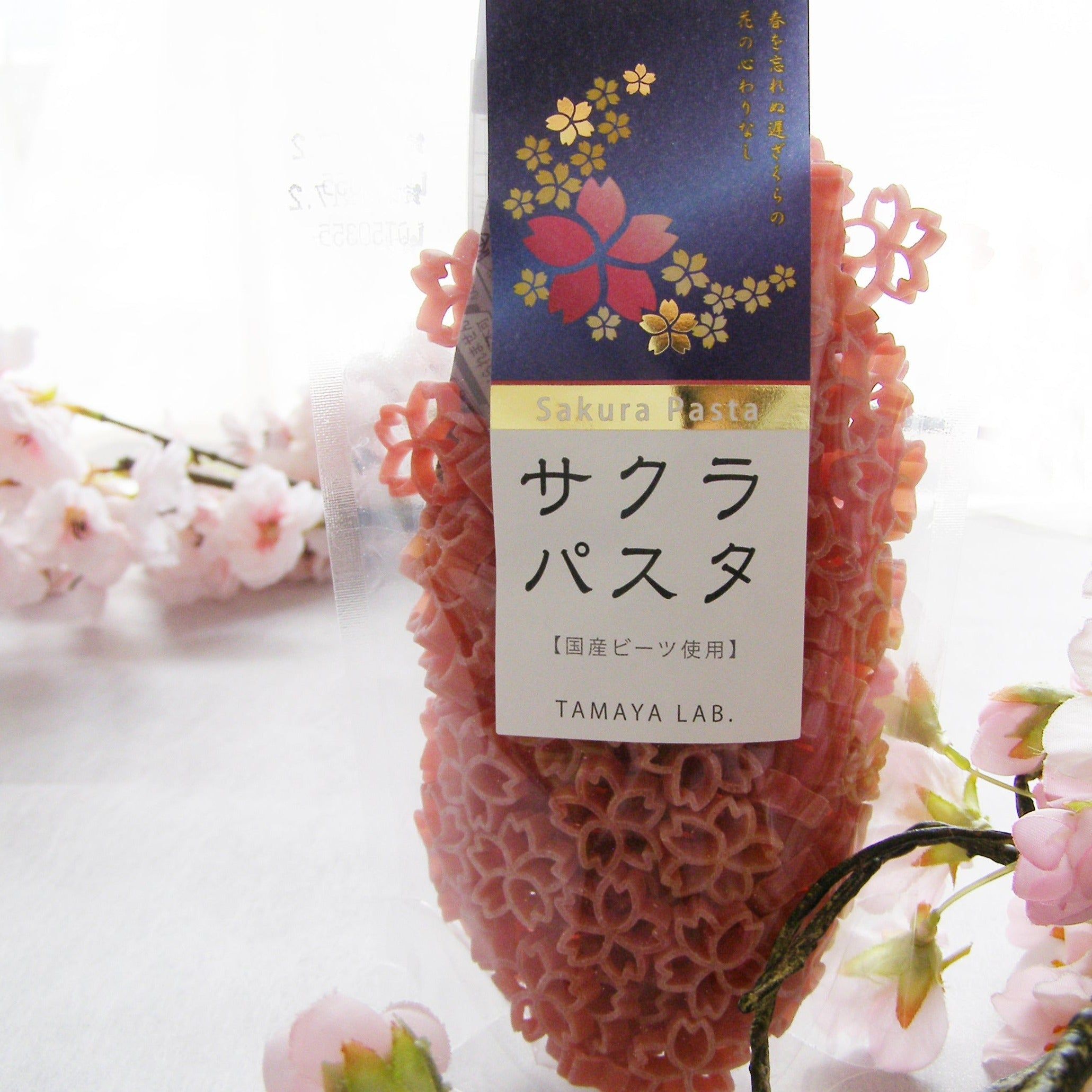 Sakura Pasta Kirsche Blossom Blick auf Yamagata-geborene Kunst Pasta Made in JAPAN / Tamaya Seimen