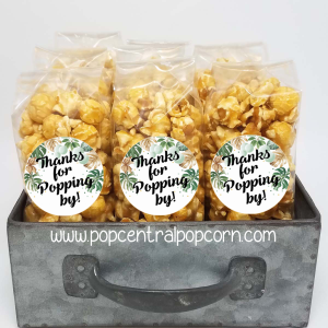 Jungle Theme Baby-Dusche – danke für das Popcorn-Gefällt mir