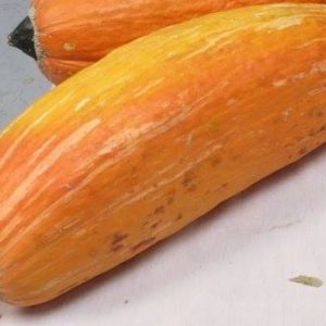 Okosomin-Squash bekommen
