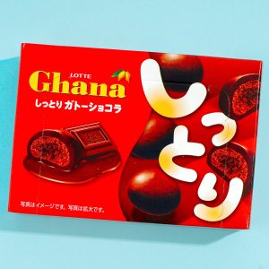 Lotte Ghana Moist Gateau Schokolade