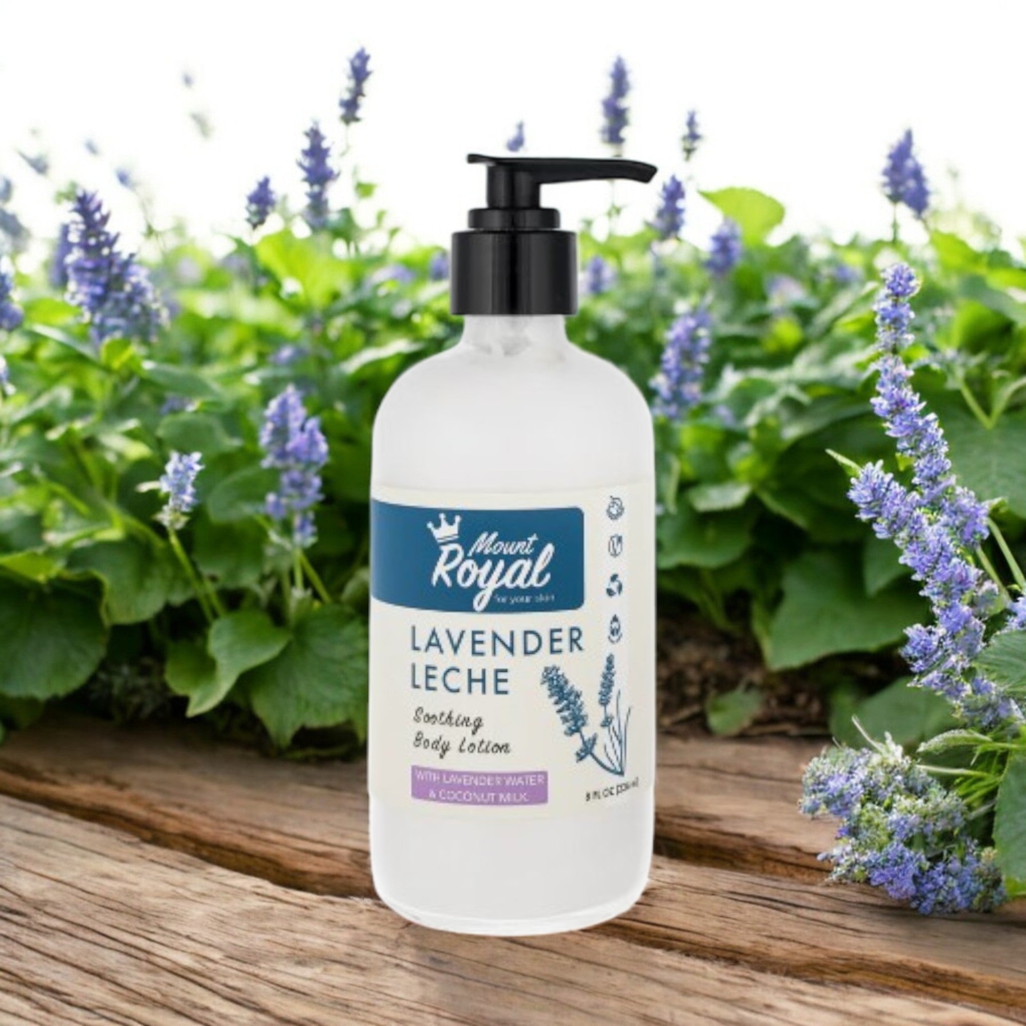 Lavendel Leche – Lavendel Wasser & Kokosmilch Körperlotion
