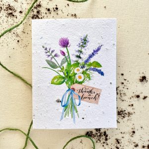Noten von eden Samenkarten – dank einer Bündel Wellness-Mix pflanzenbaren Samen