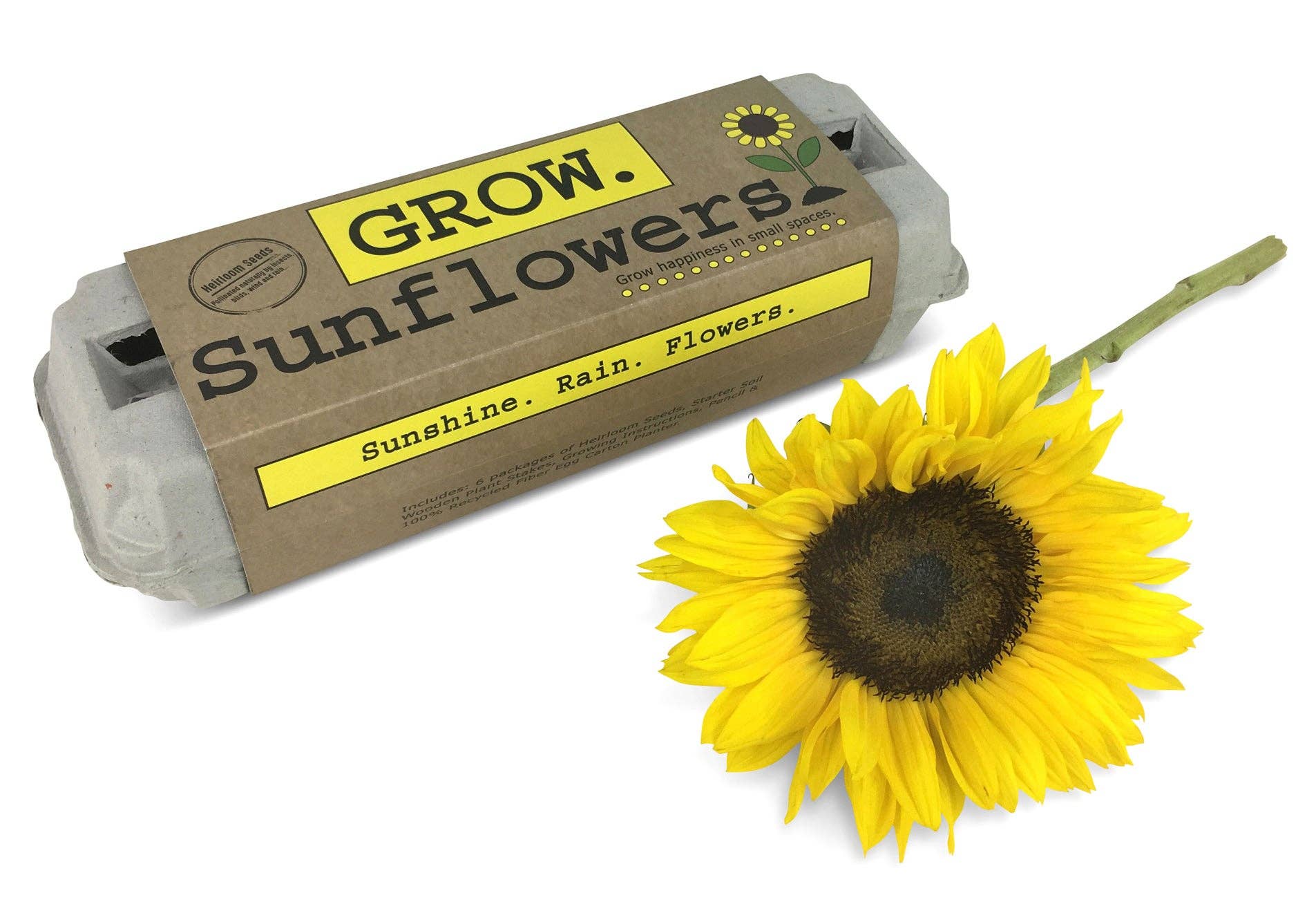 Hinterhof Safari Company – Sonnenblume Garden Grow Kit