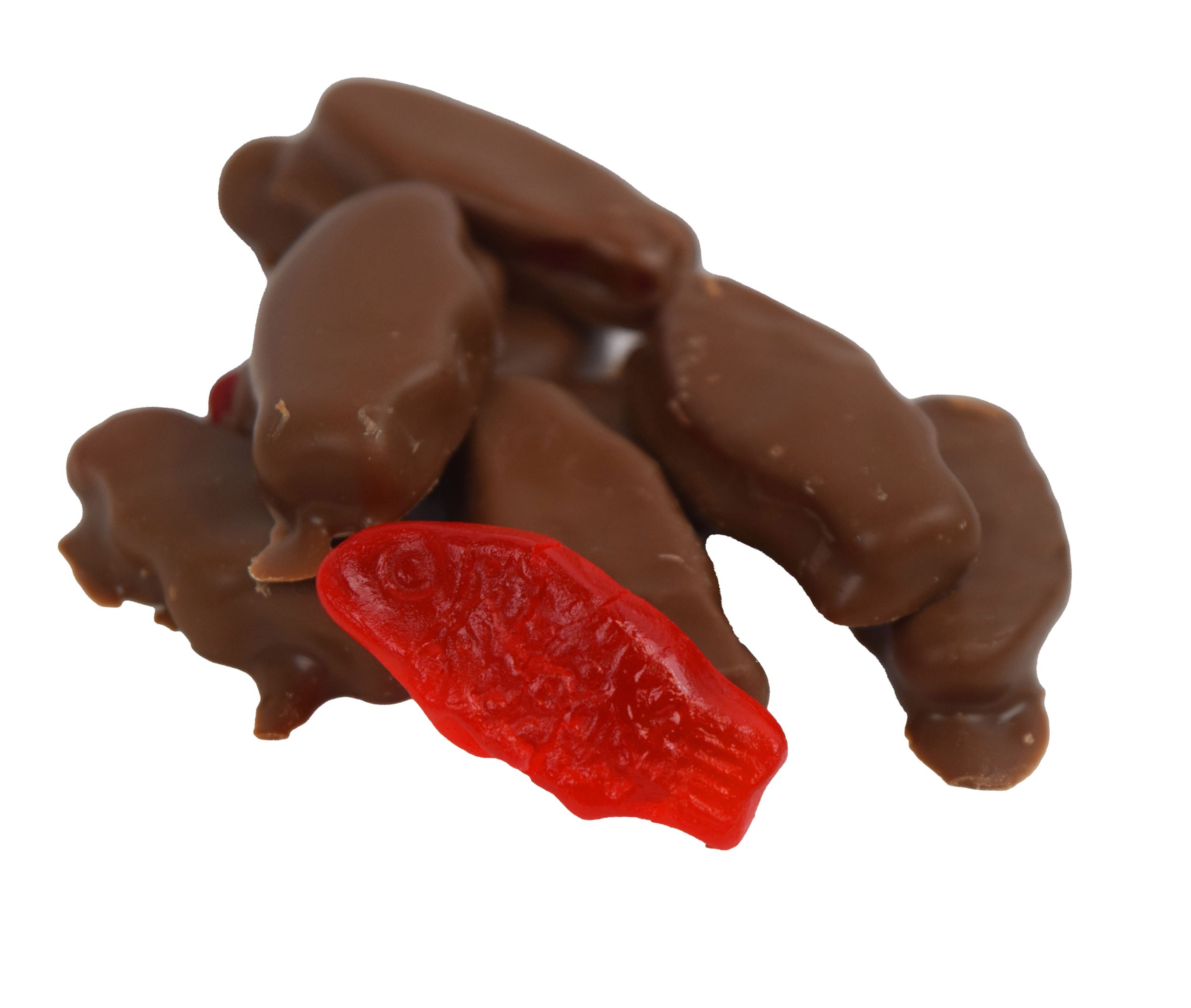 Schokolade bedeckt Swedish Fish