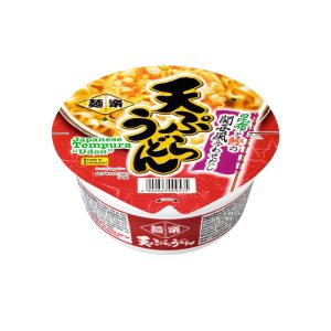 Hikari menraku tempura udon Tasse (Japan)