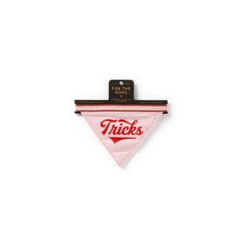 Dreht Tricks Hund Bandana