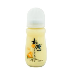 SLW Mango Joghurt Getränk
