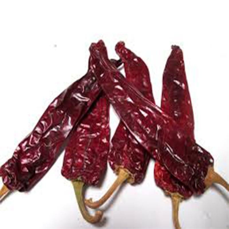 Kalifornien Chile Ganze