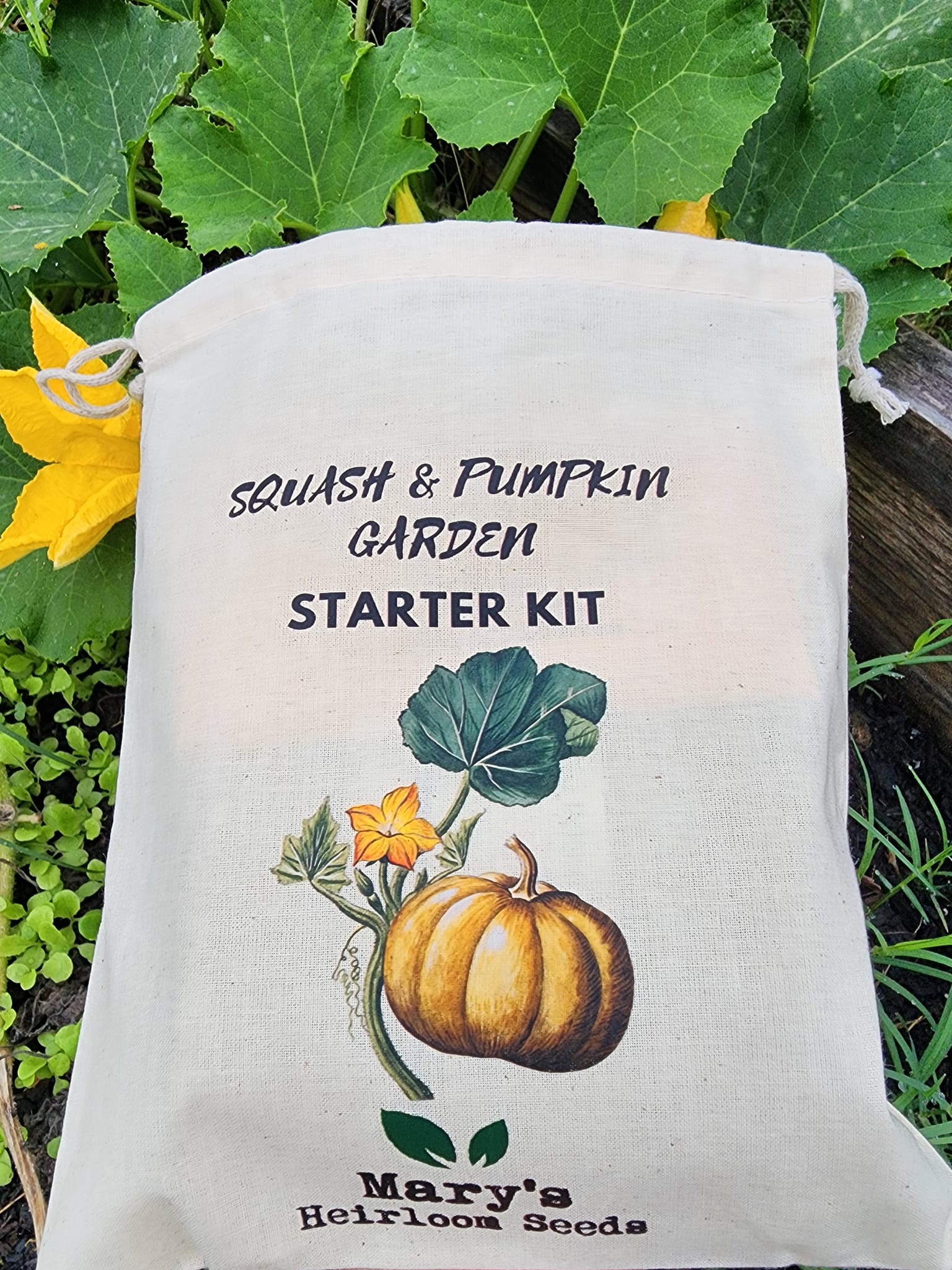 Squash & Kürbis Garten Starter Kit