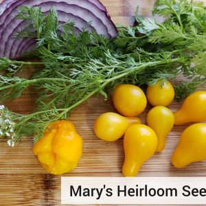 Fermented Pfeffer Salsa Garten Kombipackung