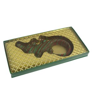 Sumpfalligator