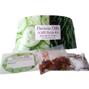 Diy Pickle Kit (kein Glas) – hinterhältiger Dill – 24 Packungen