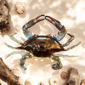 Chesapeake Bay Küstenkrabbe Metall Wandkunst