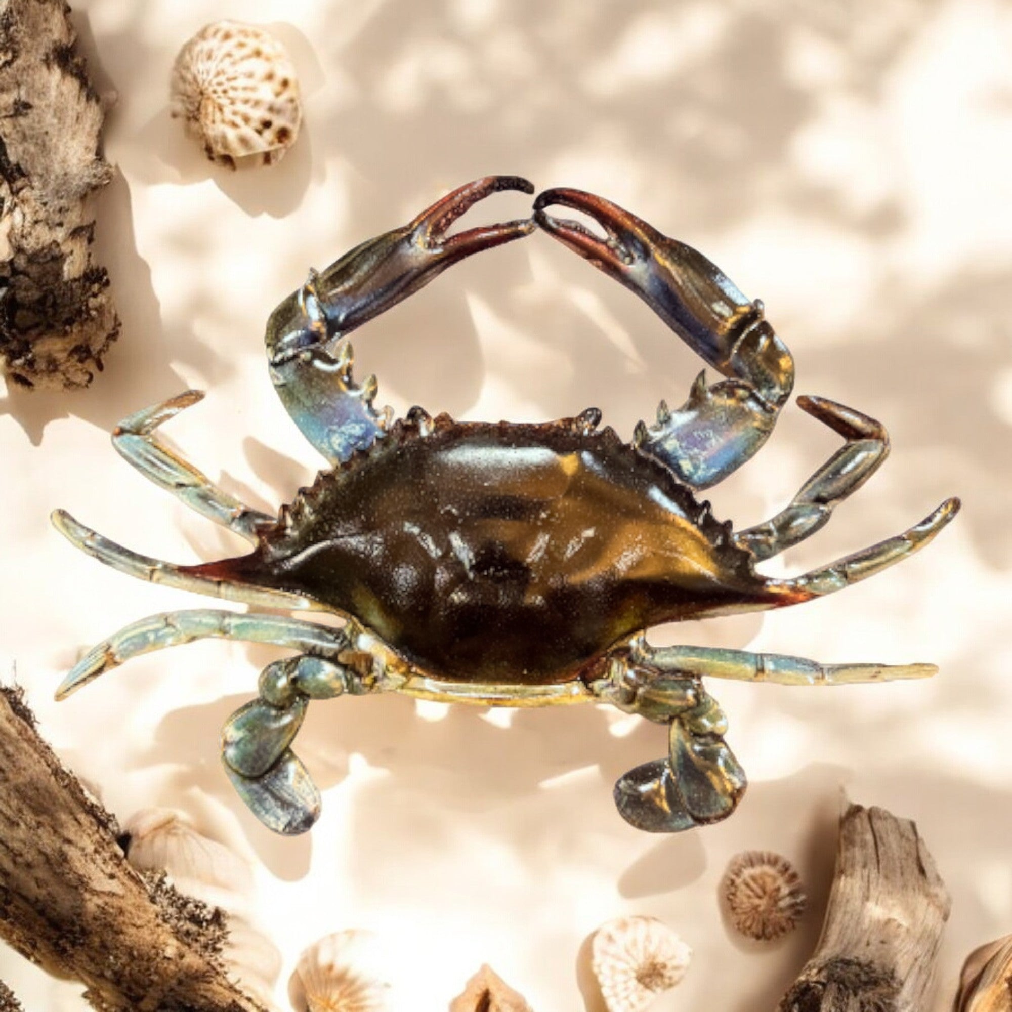 Chesapeake Bay Küstenkrabbe Metall Wandkunst