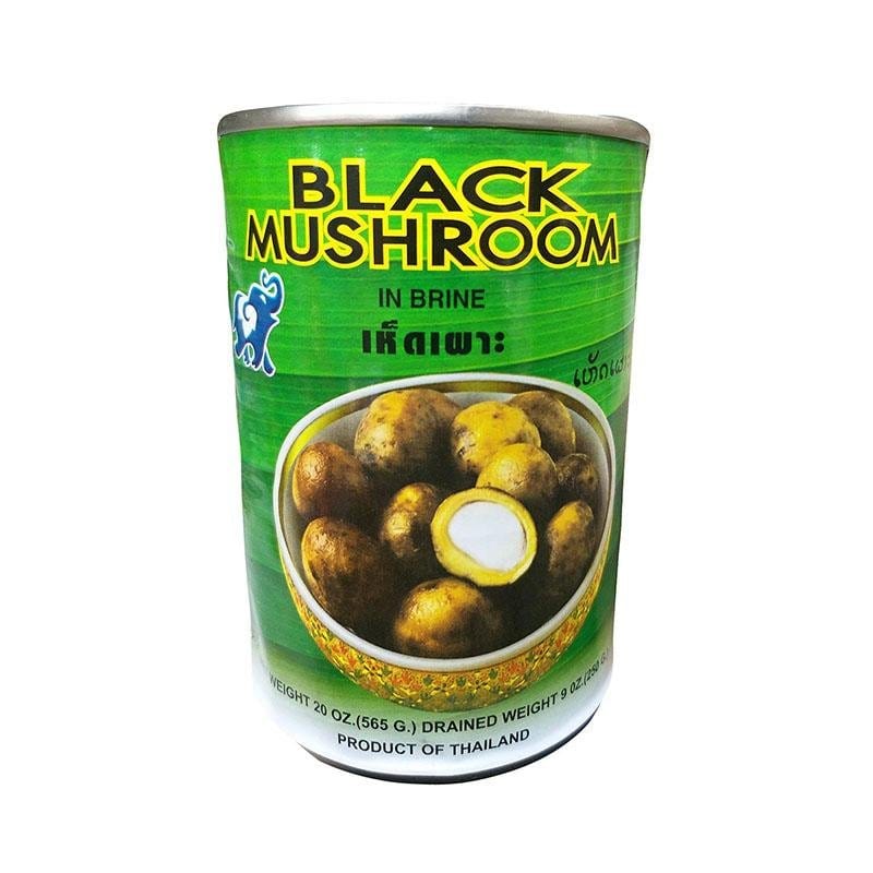 Beste Wahl Schwarzer Pilz in Brine