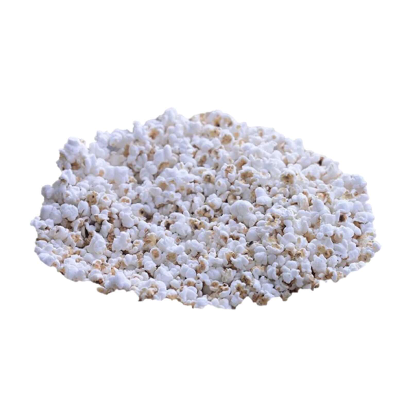 Jowar Dhani (Gepflegter Sorghum)