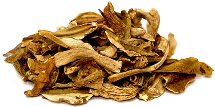 Porcini Grade A Pilz