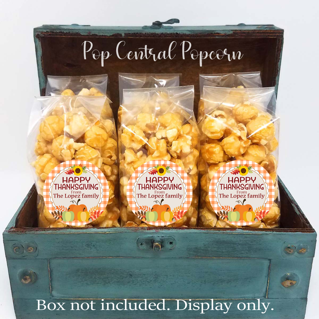 Karierte Kürbisse – Thanksgiving Tag Popcorn Gunst Taschen