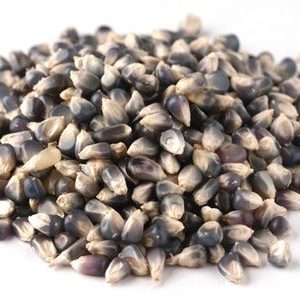 schwarzes Juwel Popcornkerne