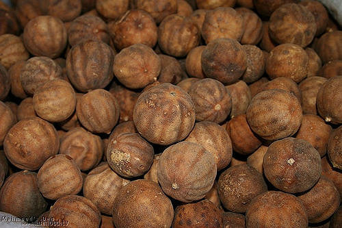 Getrockneter persischer Limes