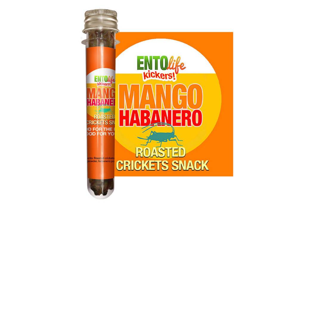 Mango Habanero Geröstete Cricket Snack Tubes – 6 x 10g