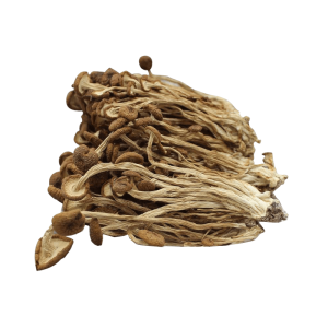 getrockneter Pilz (Chashugu) (Agrocybe aegerita)