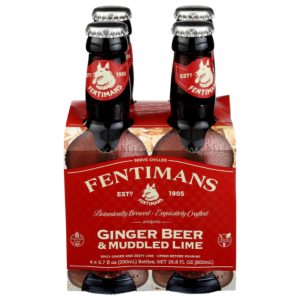 Fentimans – Mixer Ingwerbier mit gequetschtem Kalk, 26,8 Liter Packung mit 6 Stück
