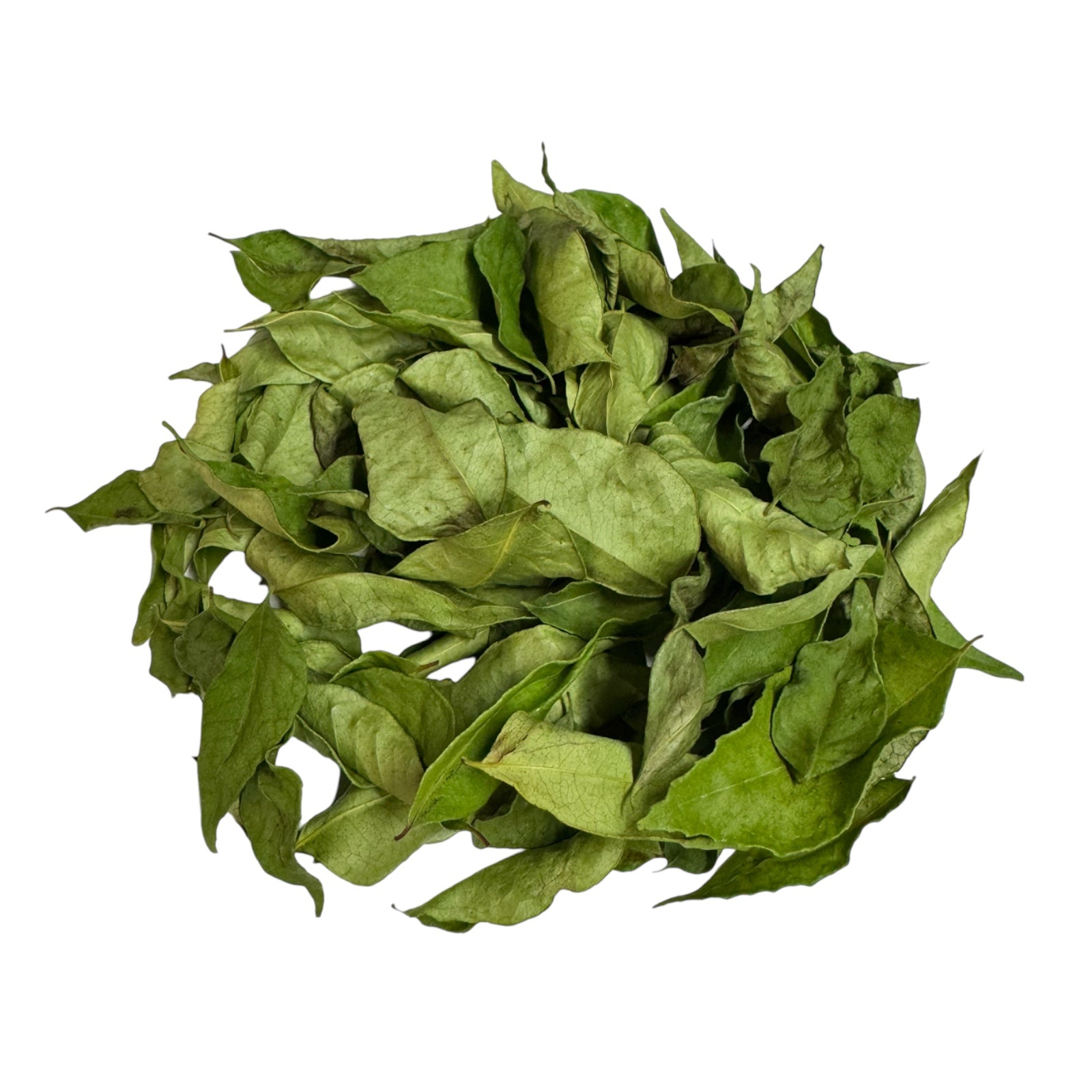 Getrocknete Curryblätter online – Aromatisch & Aromatisch