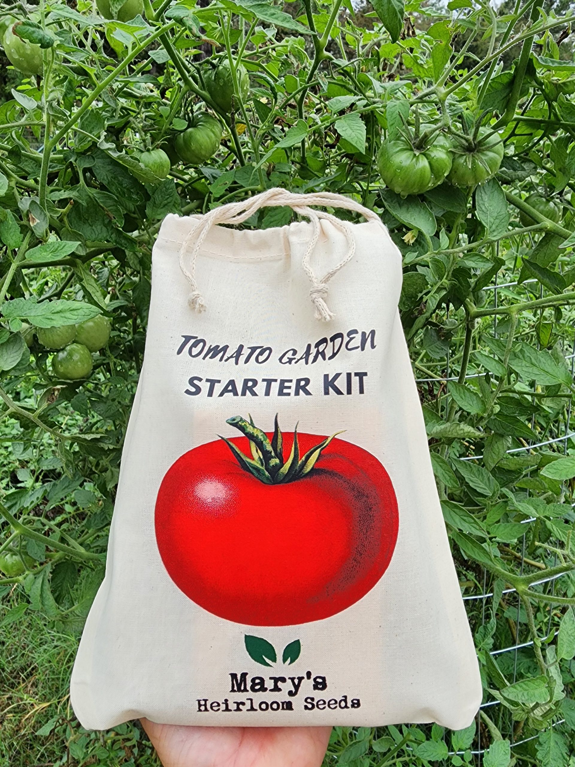 Tomatengarten Starter-Kit