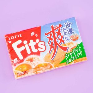 Lotte Fit’s Gum – Refreshing tiefgekühlt Orangen