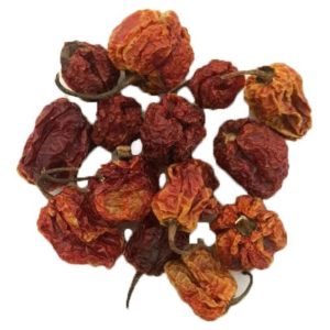 Scotch Bonnet Chilli ganz