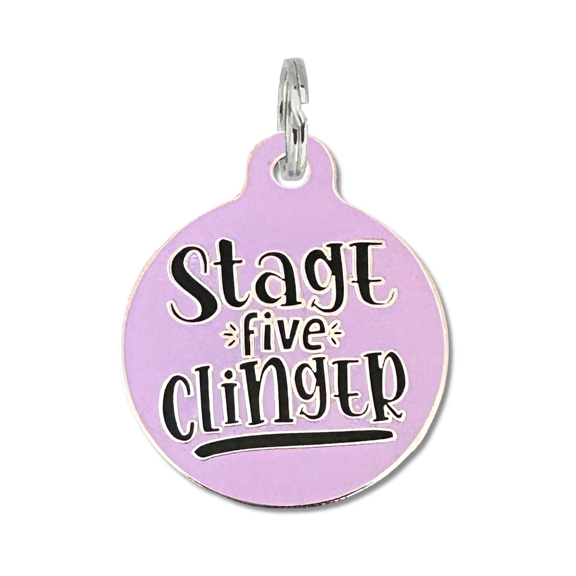 Bad Tags -Violett -Stage 5 Clinger – Hund ID Tag Kragen Charme