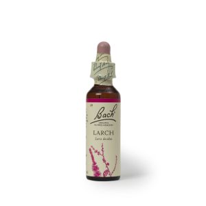 nelson bach flower larch 20 ml – Packung mit 1 Stück