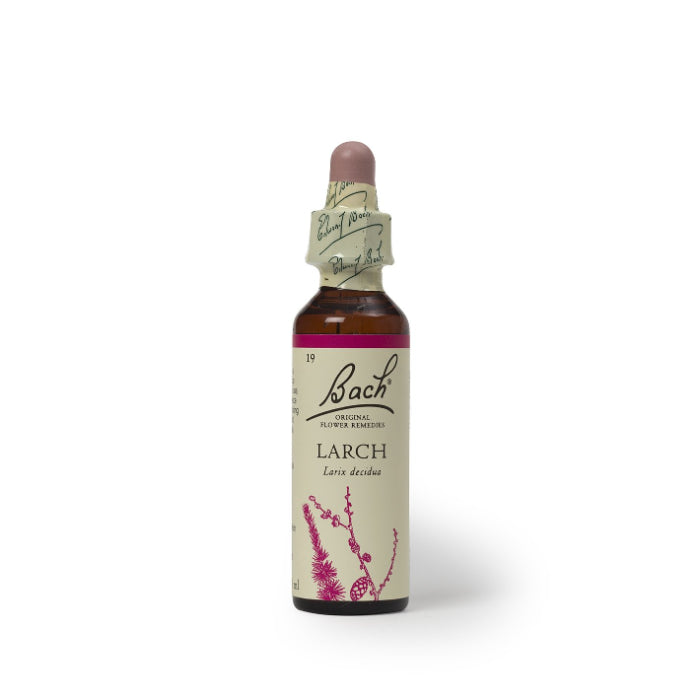 NELSON BACH FLOWER LARCH 20 ML – Packung mit 1 Stück
