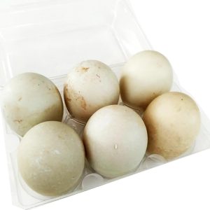 Balut – inkubiertes Entenei 14-21 Tage (nicht gekocht) – 6 Eier