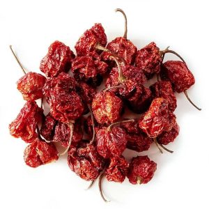 Trinidad Moruga Skorpion-Pods