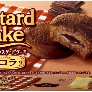Lotte, Custard Kuchen Chocolat, 6 pc in 1 box, regelmäßige Größe, weicher Kuchen mit Choco-Creme