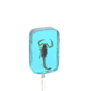 Scorpion Sucker Heidelbeeren