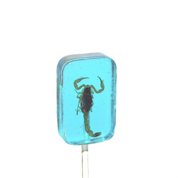 Scorpion Sucker Heidelbeere