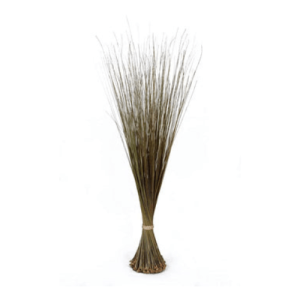 afrikanische Besen ( igbale )