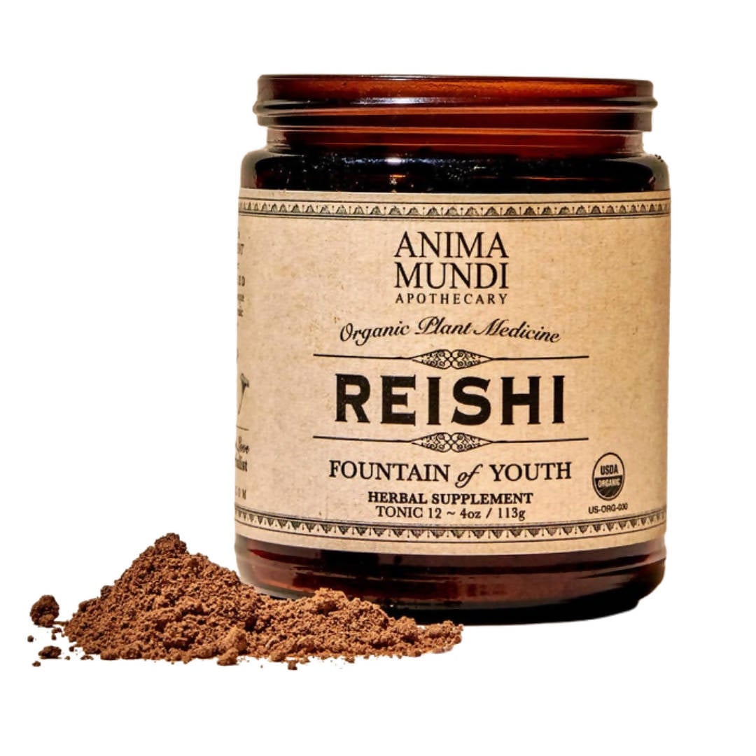Reishi Pilzpulver – Brunnen der Jugend Gläser – 4 Gläser x 4oz