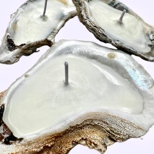 Martini Candle Co. – Oyster Shell Candle Handmade Beeswax Soy: schwarz s
