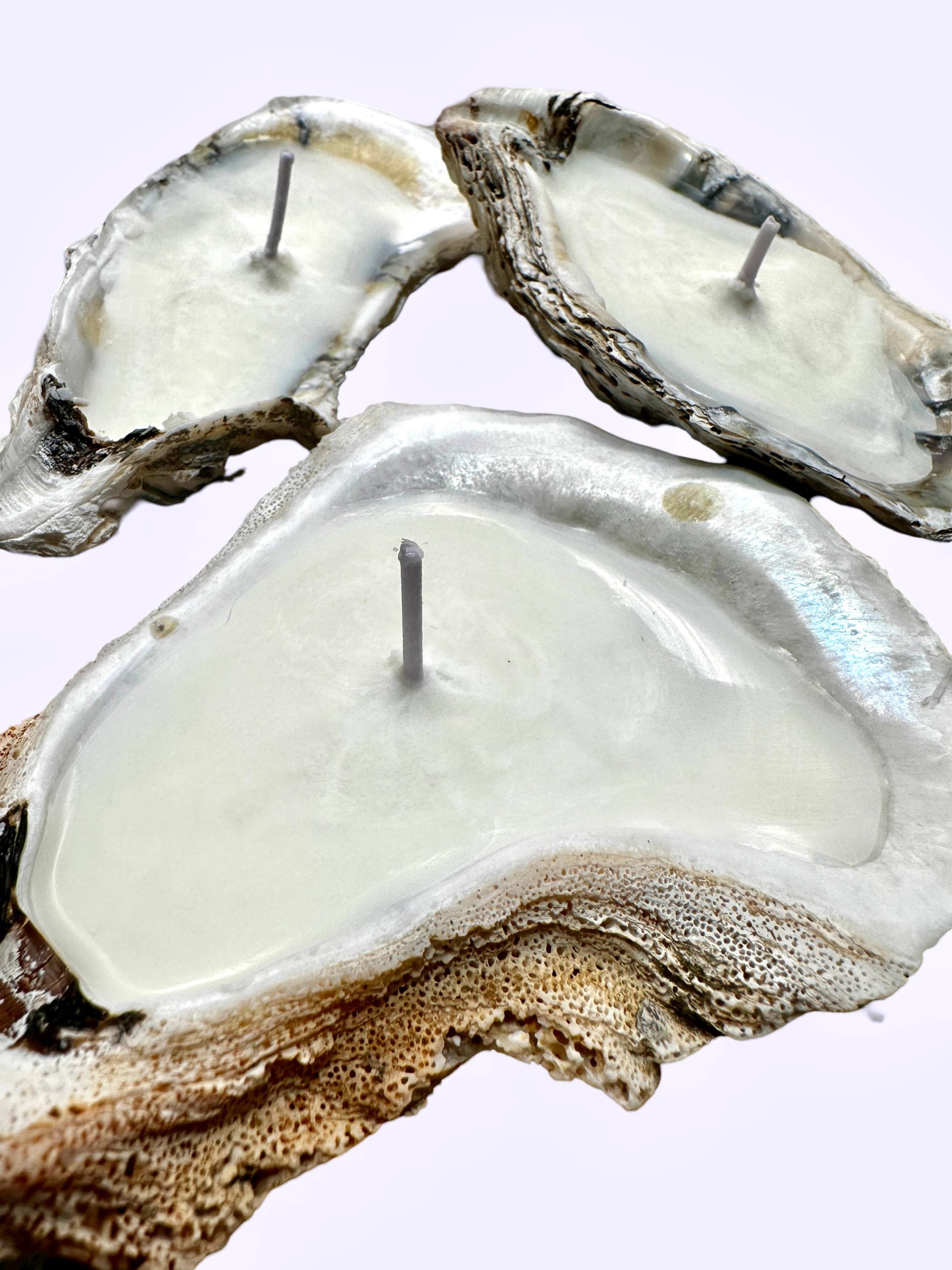 Martini Candle Co. – Oyster Shell Candle Handmade Bienenwachs Soja: Unscen