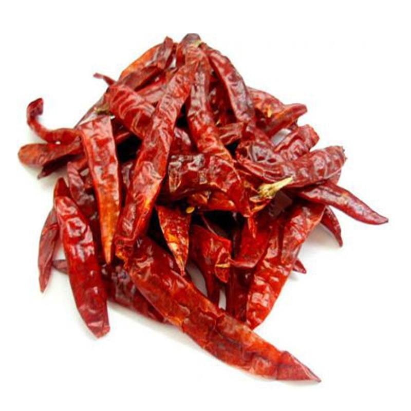 Indischer roter Chili ganz