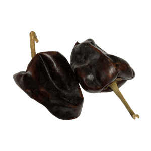 Chilhuacle Rojo rot getrocknetes Chili ganz